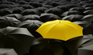 Umbrella, all black and one yellow